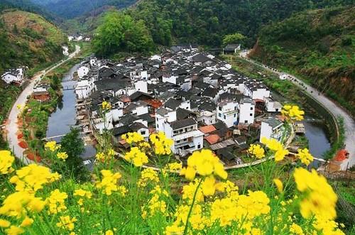 婺源油菜花(婺源油菜花文案)插图12