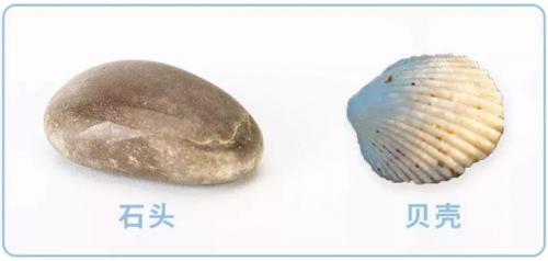 哪种脱毛膏好用(目前公认最好的脱毛膏)插图1