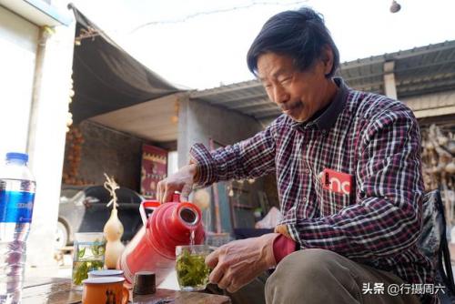 真正野生灵芝图片(树舌与灵芝最大区别)插图2
