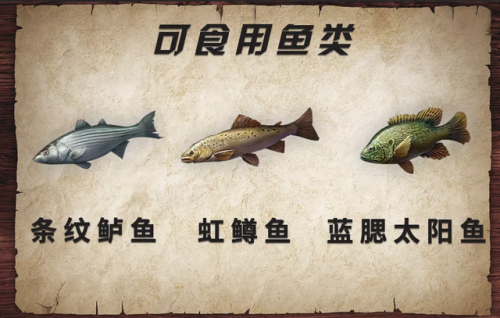 明日之后食谱(明日食谱500例)插图12