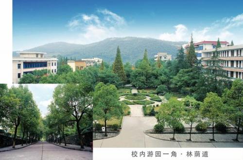 娄底学校(娄底职业技术学院招生网2023)插图2