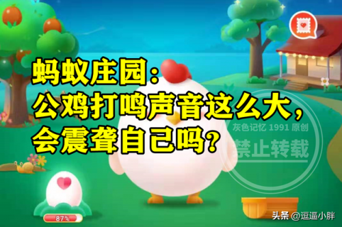 公鸡打鸣声音那么大蚂蚁庄园(蚂蚁庄园今日答案噪音)插图3