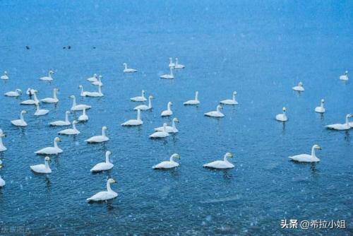 威海旅游景点大全(青岛旅游十大必去景点)插图17