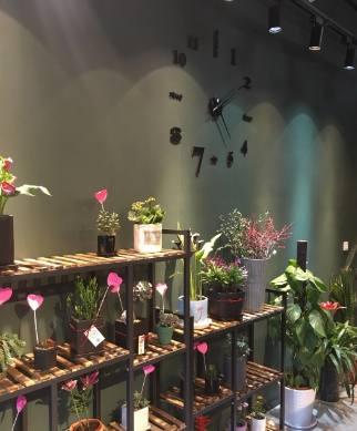 武汉热门花店排名前十(济南花店排名前十名)插图2