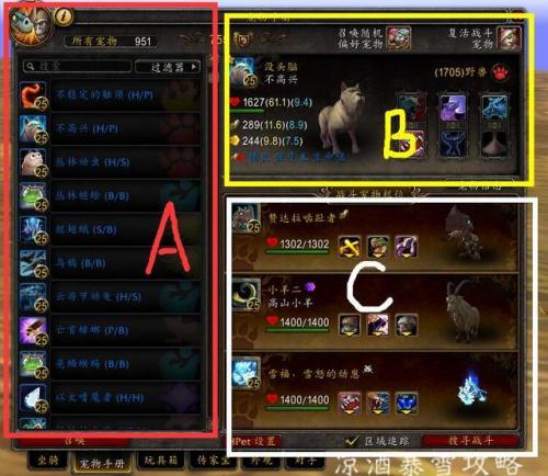 魔兽世界怎么和野外宠物对战(熊猫人之谜鸟德攻略)插图1