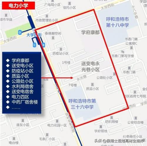 赛罕区小学公办排名前十(菏泽小学排名)插图6