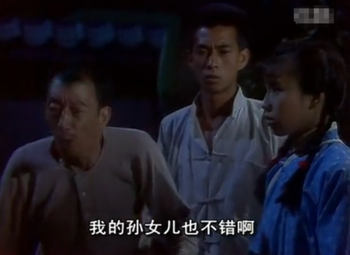 电视剧霍东阁(83版霍东阁演员表)插图3