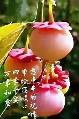 时光荏苒岁月如梭(感悟岁月的经典句子)插图2