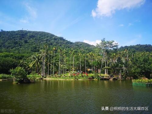 保亭景点排名前十(保亭免费景点大全)插图3