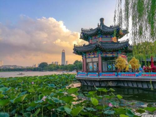 济南景点排名大全前十(济南景点60岁拿身份证免费吗)插图2