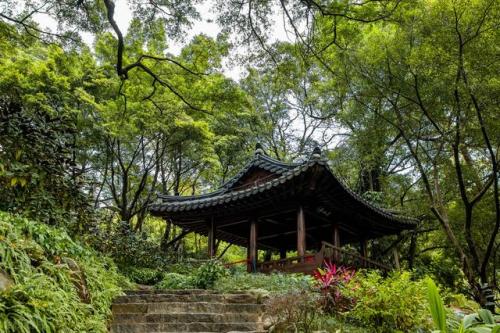广东旅游必去十大景点(广东2-3天短途亲子游)插图10
