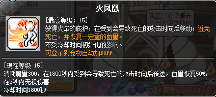 冒险岛炎术士技能介绍(冒险岛炎术士完美核心)插图38