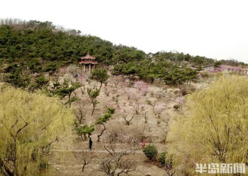 青岛世园会(青岛世博园)插图21