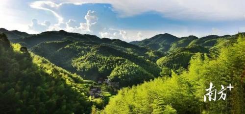 河源和平县(河源和平县房价)插图8