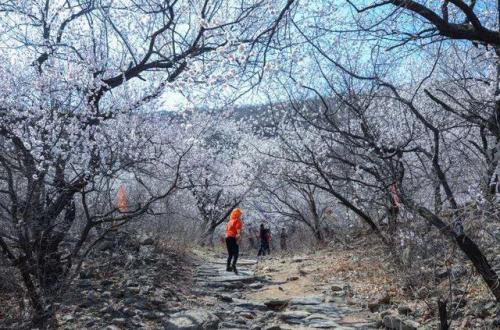 朝阳旅游(朝阳十大景点)插图30