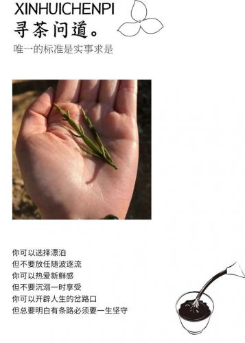 进口陈皮牌子排名前十(陈皮最好的品牌)插图8