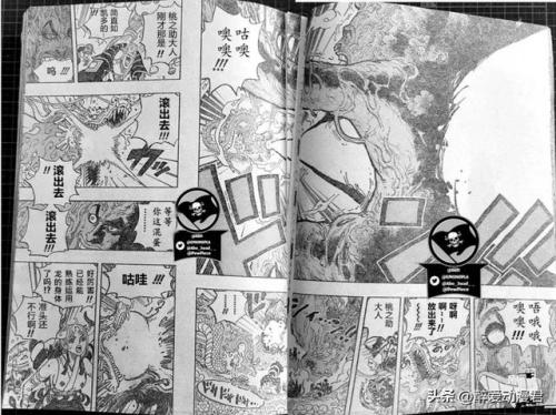 海贼王1055(海贼王漫画1055话汉化版本)插图12