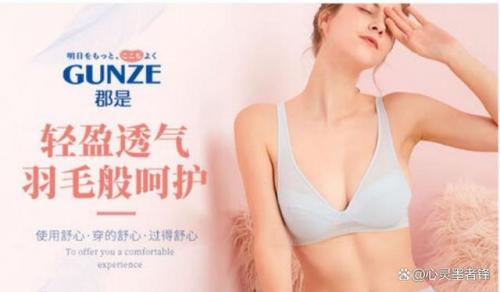 内衣世界排名前十(男士内衣品牌质量排行)插图9