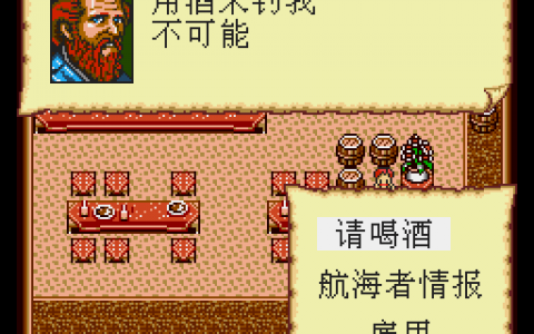 海盗类大型单机游戏(海盗游戏单机游戏排行)