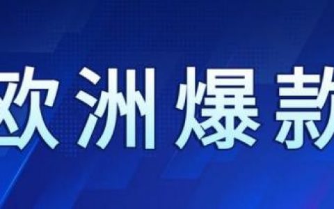 欧洲取暖中心排名前十(欧洲农村冬天取暖用壁炉吗)
