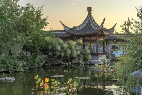 姜堰美食早茶排名前十(姜堰好吃的早茶在哪里)插图13