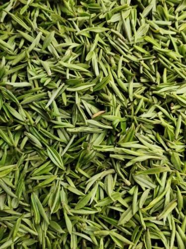 茶叶品种价格排名前十(茶叶有哪些品种)插图6