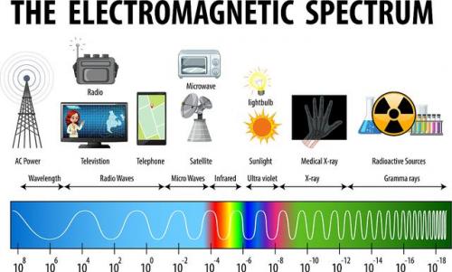 苹果iphone12(苹果iphone11多少钱)插图1