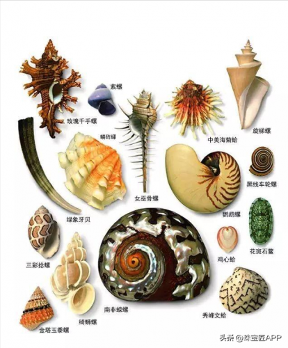 缅甸宝石产量排名前十(缅甸琥珀市场行情)插图46