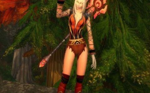 魔兽世界维克鸦巢水晶(魔兽世界维克图斯任务)