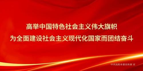 沈阳猫科医生排名前十(沈阳盛京消化内科哪个医生好)插图