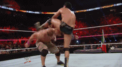 wwe体育价值排名前十(wwe历史十大排名)插图39