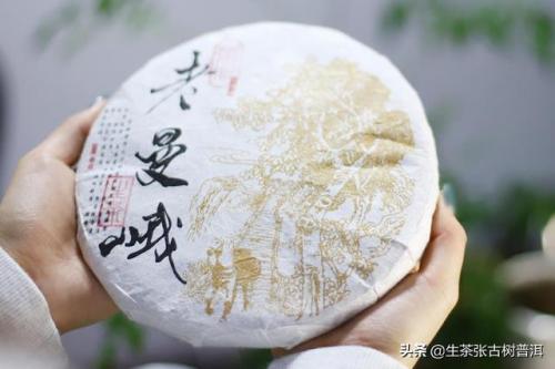 普洱茶品牌(正宗普洱茶哪个牌子最好)插图7