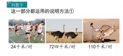 束字组词(句字组词语)插图29