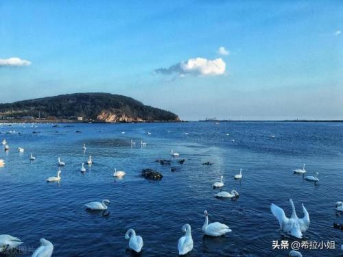 威海旅游景点大全(青岛旅游十大必去景点)插图2