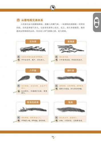 看手相算命(免费算命)插图8