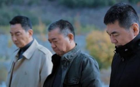 三叉戟演员表(三叉戟剧情介绍)