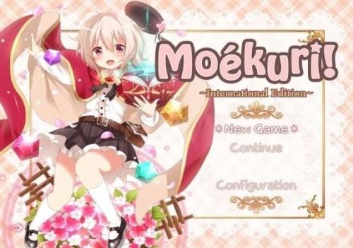 类似女皇之刃的动漫(一部从头到尾噼里啪啦的动漫)插图13