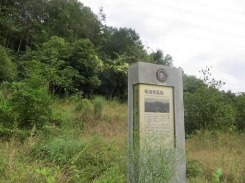 桃园劲弩加点(桃园行者属性点怎么加)插图1