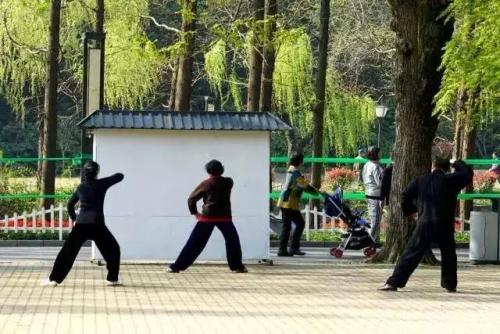 上海划船景区排名前十(上海划船的公园哪个比较好)插图26