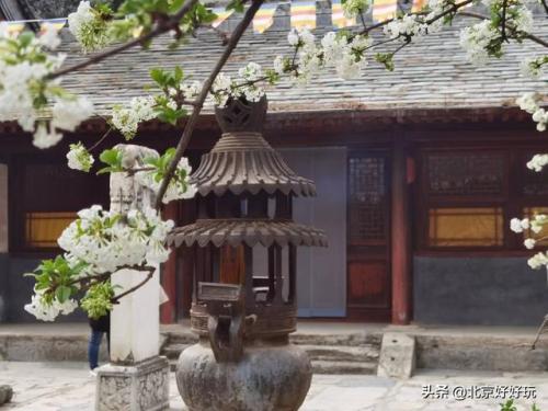 缩小帽滚骨碌山攻略(缩小帽中八个剑技)插图3
