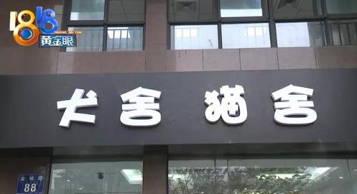 杭州犬舍排名前十(全国十大金毛犬舍)插图7