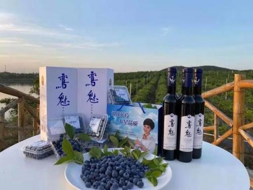 湖北喜爱品牌排名前十(湖北品牌一览表)插图13