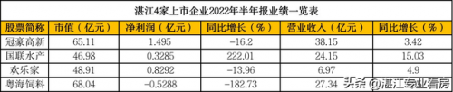 湛江利润前十公司排名(中国利润最高的公司排名)插图1