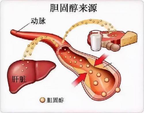 全球脑血管排名前十(全国最好的脑血管专家)插图19