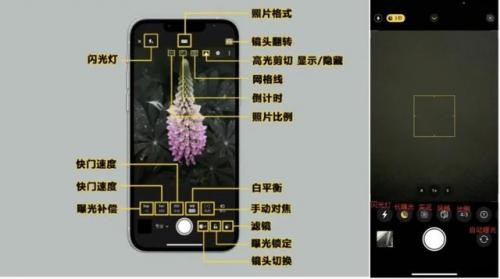 美国职业摄影师协会(马修j罗伊德摄影师)插图7