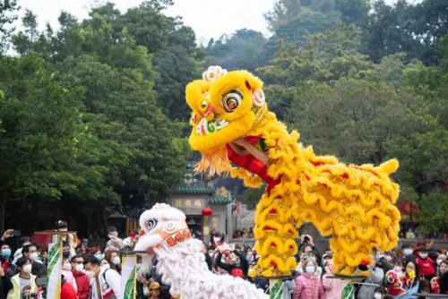 舞狮表演图片(中国风醒狮图片)插图6