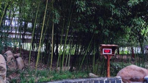 临沂景点(临沂十大网红地点)插图20