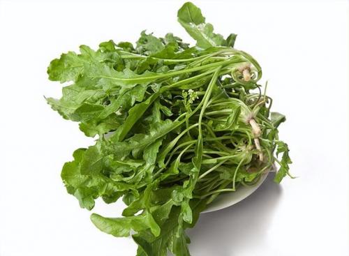蕨菜的功效作用及危害(蕨菜)插图3