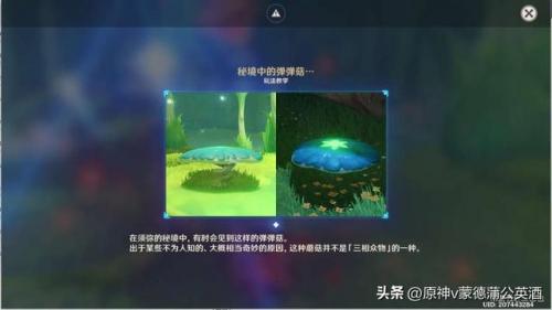 调查走廊深处的庭院(中式庭院走廊)插图8
