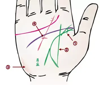 掌纹分析专家排名前十(掌纹密码书籍)插图10